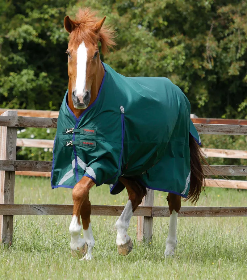 Premier Equine Buster Zero - Green
