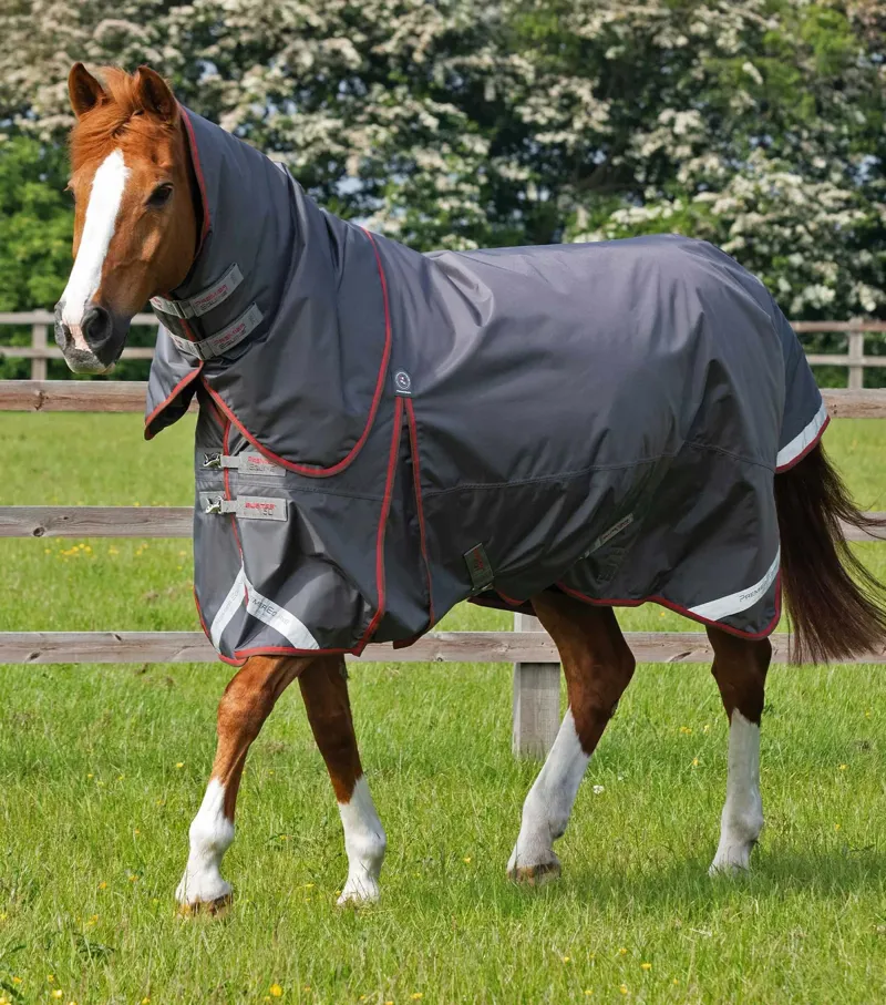 Premier Equine Buster 150g With Classic Neck - Grey-2