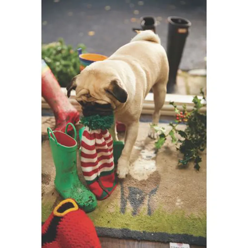 Hug Rug Country Collection Mat - 65cm - 150cm-4