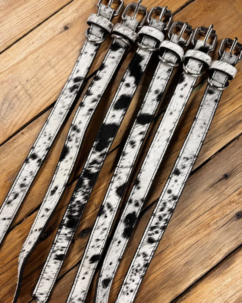 Bethany Rae Dog Collar - Black