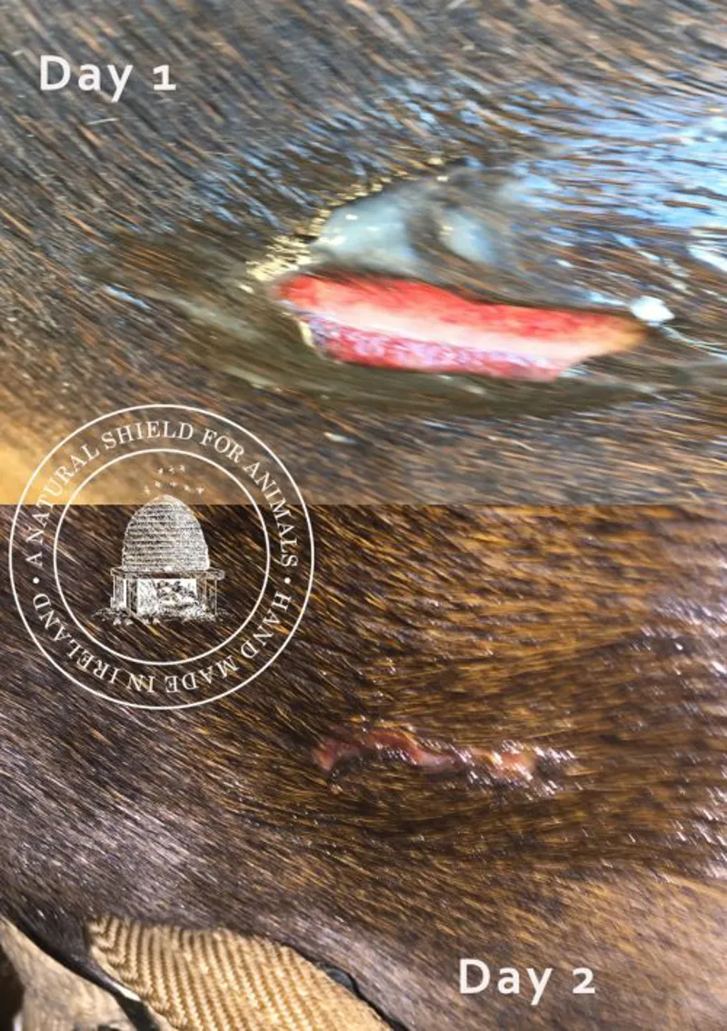 Mother Bee Soothe and Protect - Tea Tree and Lavender 250ml-5