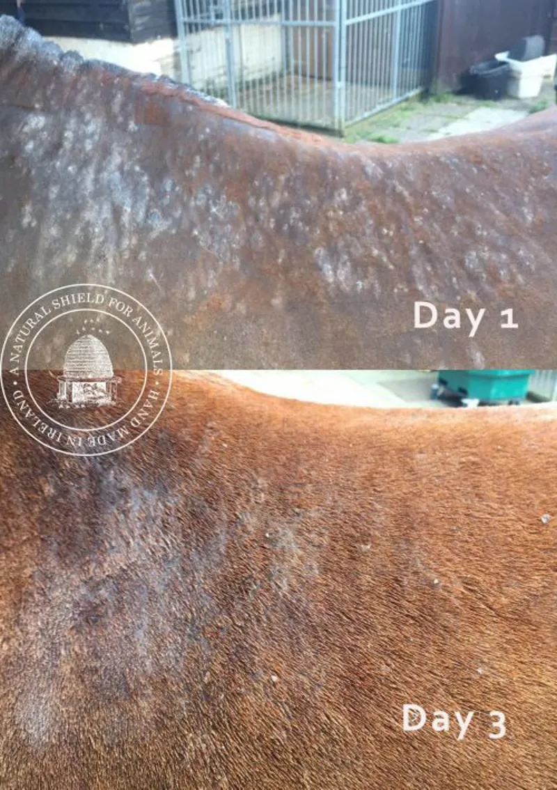 Mother Bee Soothe and Protect - Tea Tree and Lavender 250ml-6