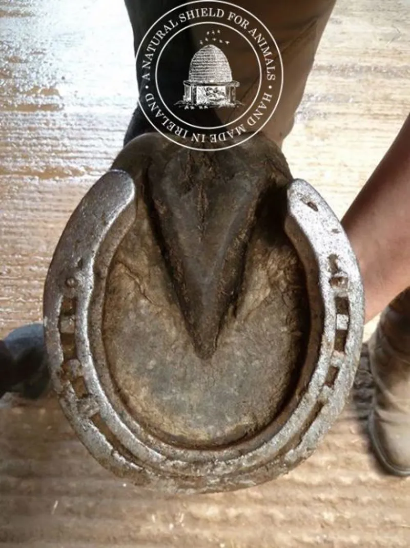 Mother Bee Hoof Balm - Tea Tree and Eucalyptus 150ml-6