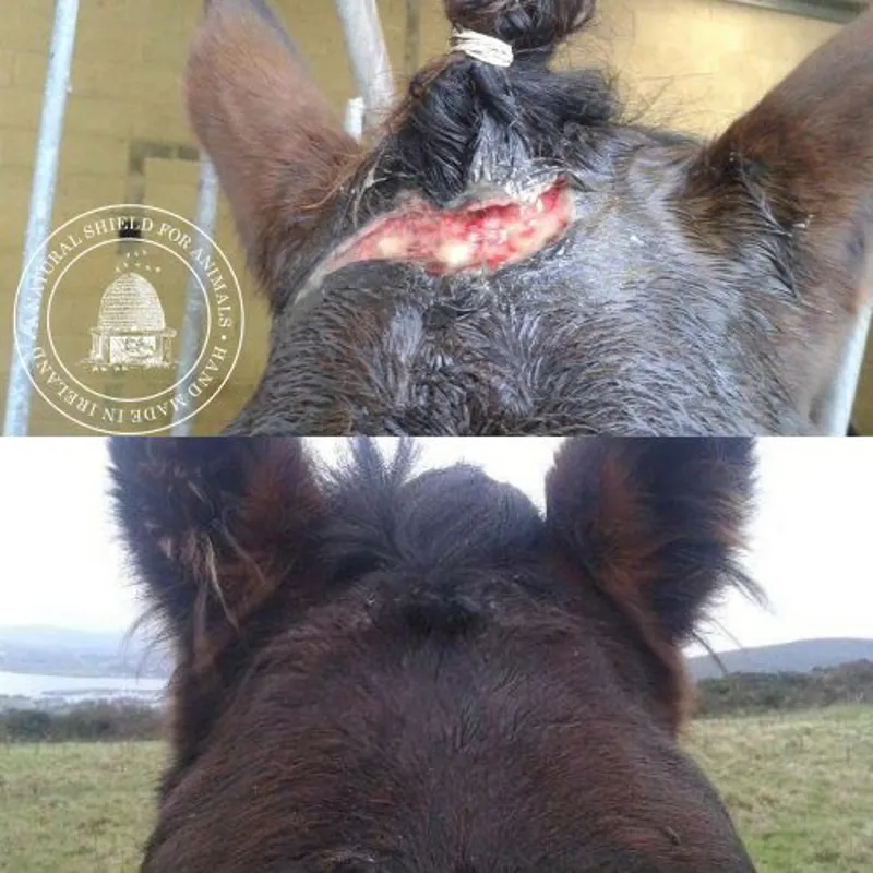 Mother Bee Soothe and Protect - Tea Tree and Lavender 100ml-7