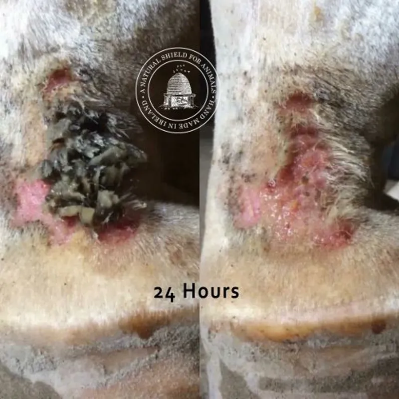 Mother Bee Soothe and Protect - Tea Tree and Lavender 100ml-9