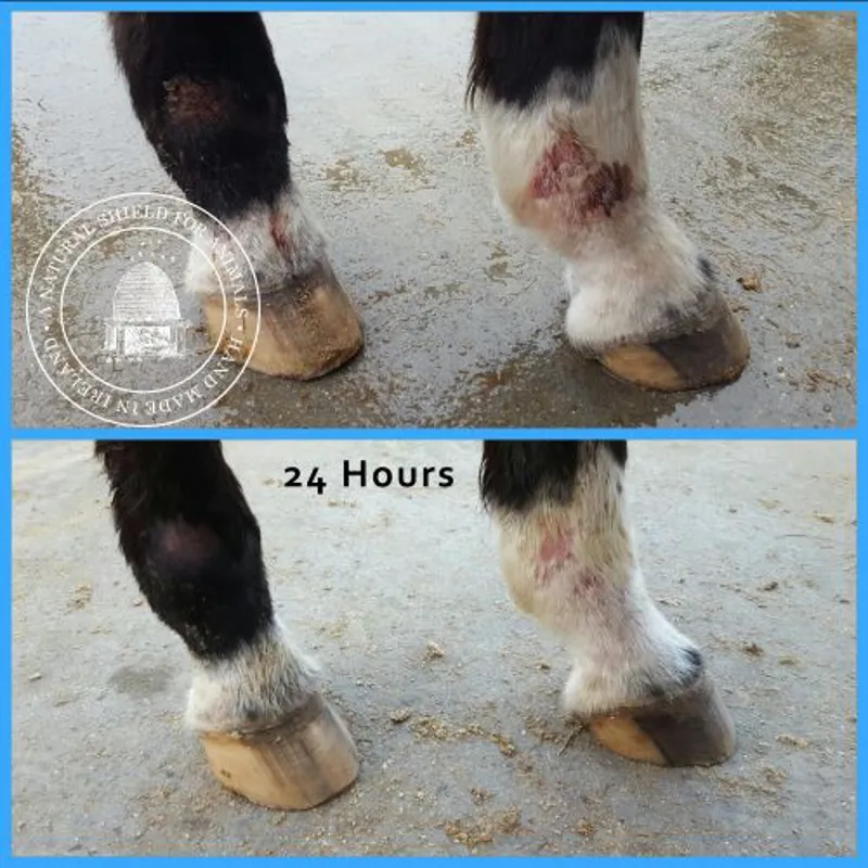 Mother Bee Soothe and Protect - Tea Tree and Lavender 250ml-8