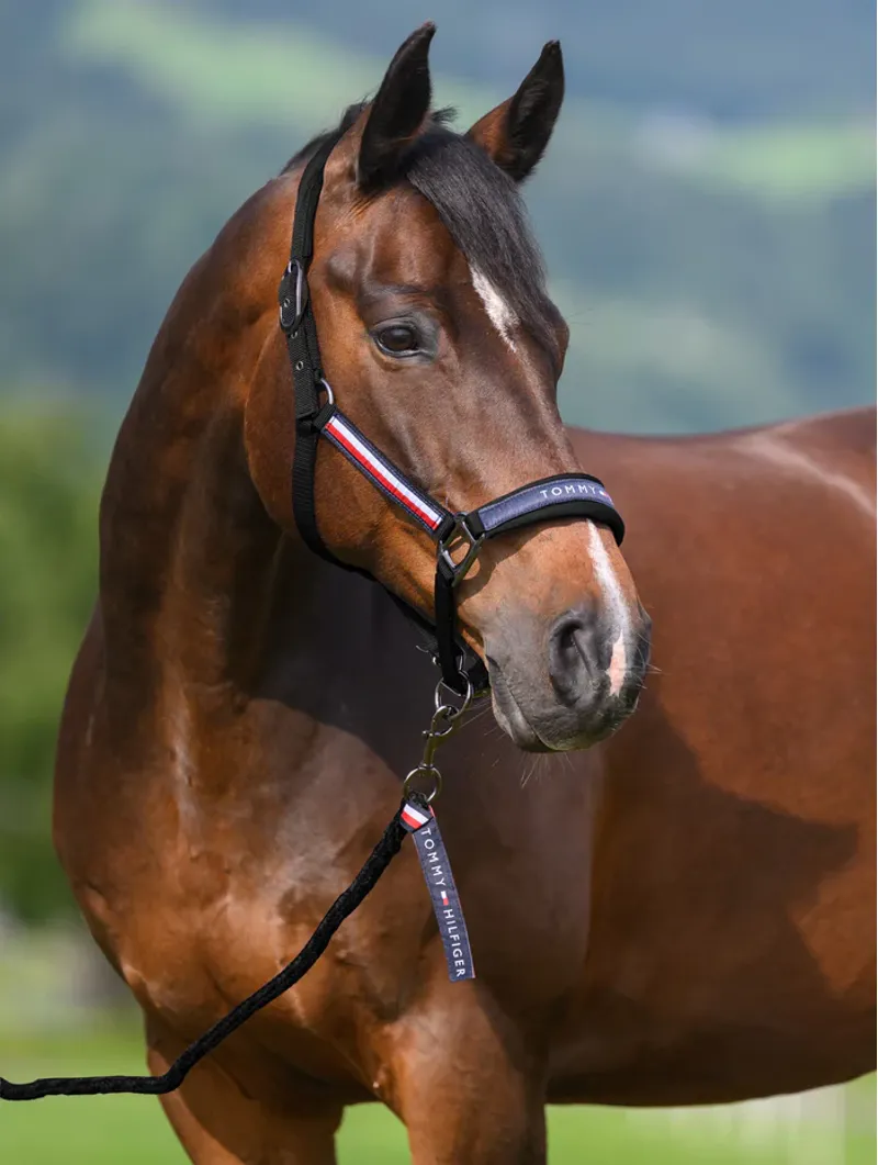 Tommy Hilfiger Yale Set Halter Rope - Black-2