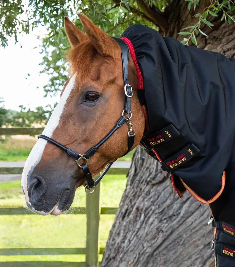 Premier Equine Titan Storm 450g Combo Turnout - Black-2