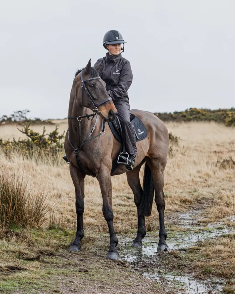 Equidry All In One - Brown-1