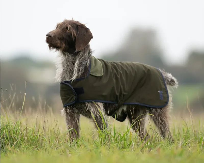 Sporting Saint Winslow Dog Coat - Waterproof 24inch-1