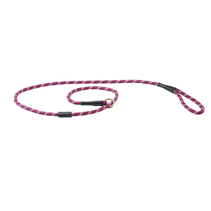Weatherbeeta Rope Leather Slip Dog Lead - Large-2