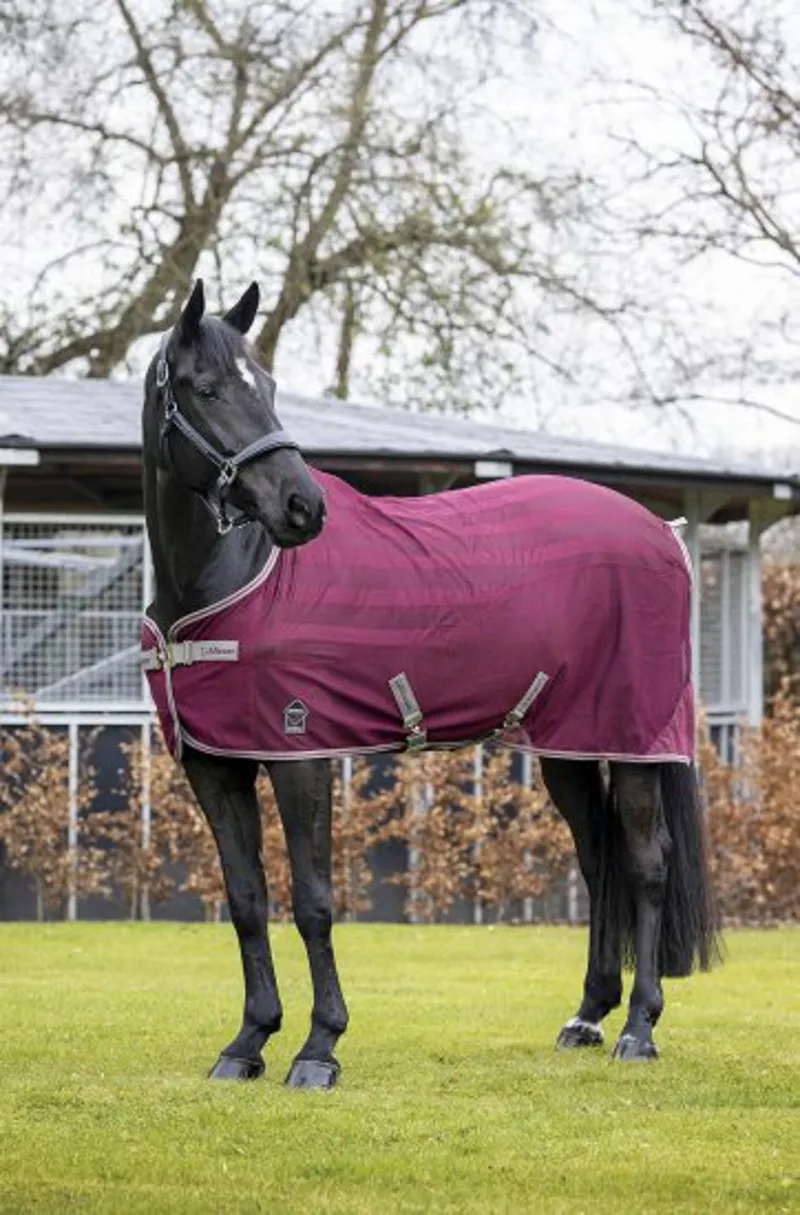 LeMieux Arika Air-Tek Sheet - Burgundy