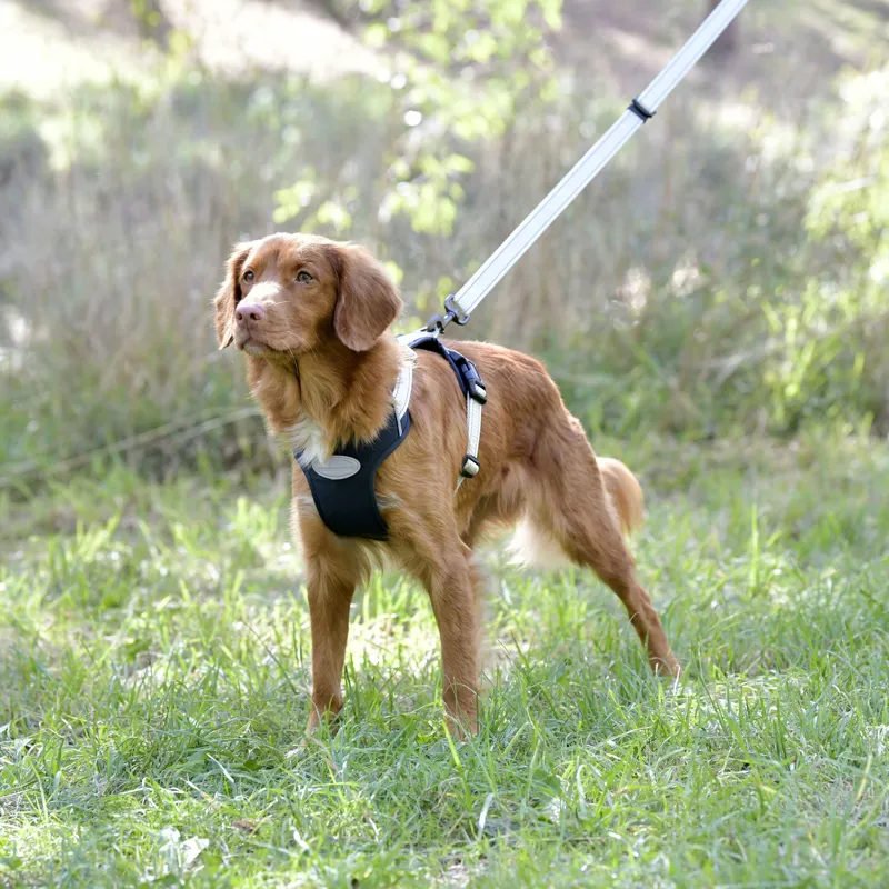Weatherbeeta Explorer Dog Harness - Small-1