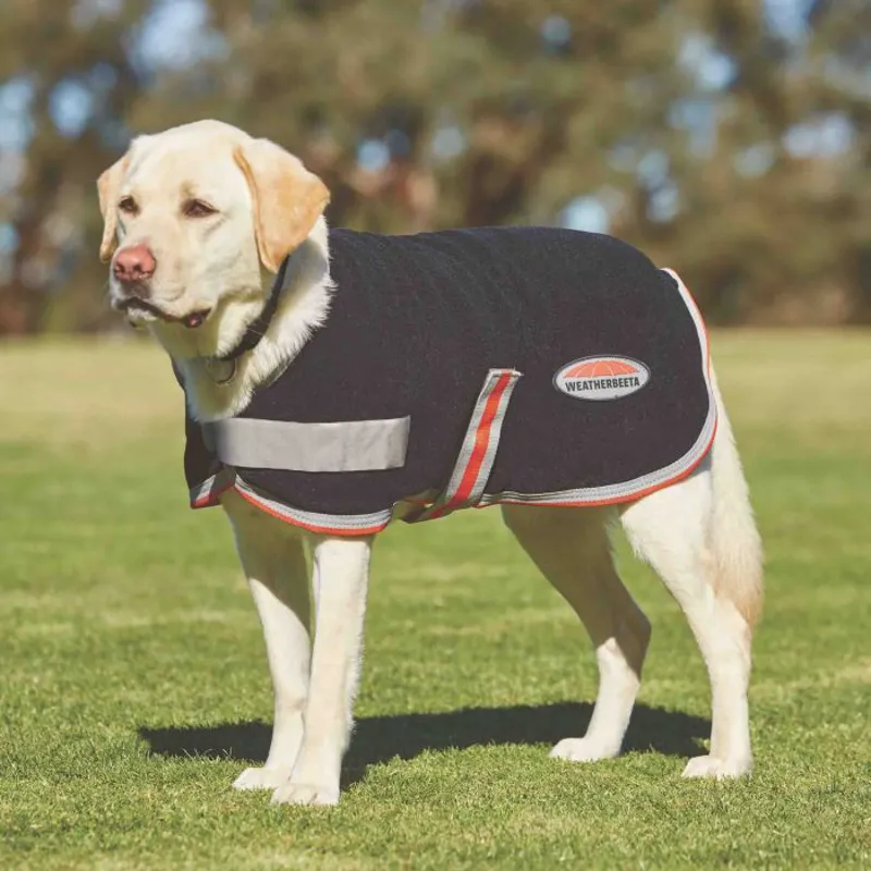Weatherbeeta Therapy-Tec Dog Coat - Black/Silver/ Red