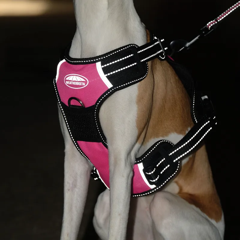 Weatherbeeta Anti Pull/ Travel Harness - Small-7