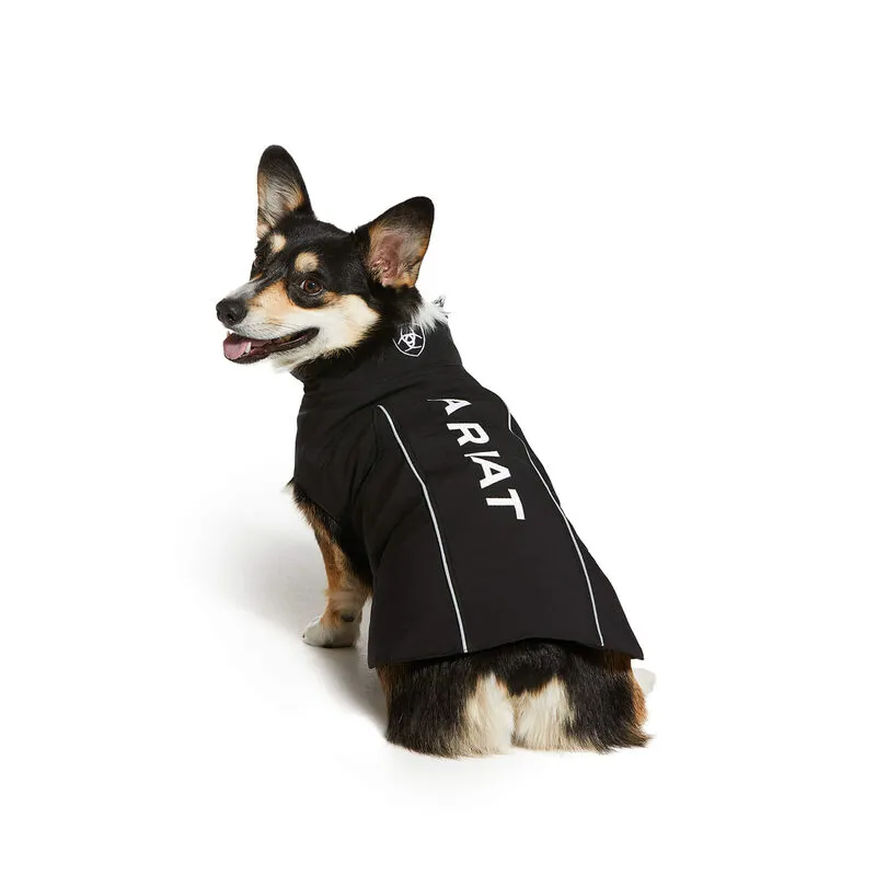 Ariat Team Softshell Dog Jacket - Black-1