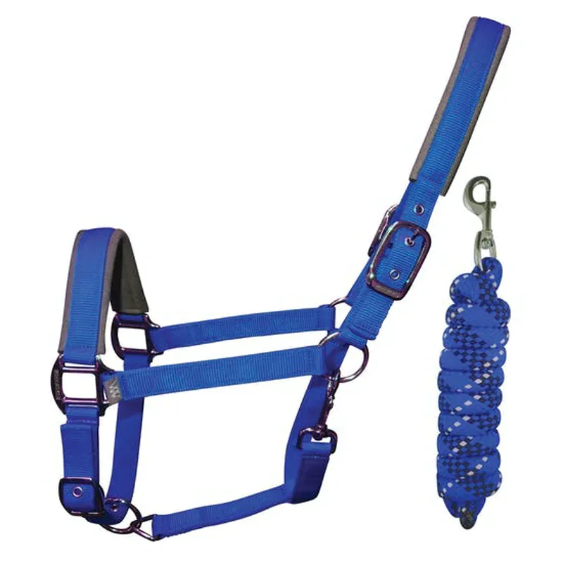 Woof Wear Head Collar and Lead Rope - Electric Blue
