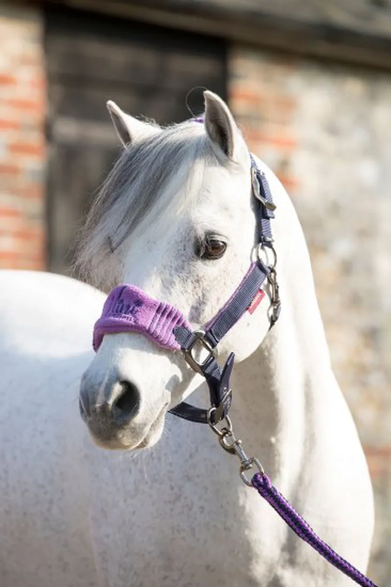LeMieux Mini Vogue Headcollar and Leadrope - Lavender/ Grey-1