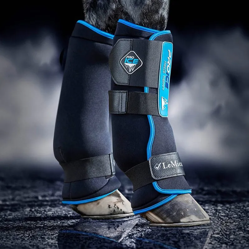 LeMieux Pro Ice Freeze Therapy Boot - Black-1