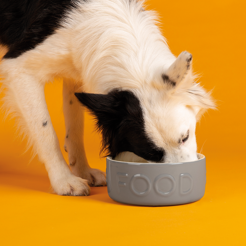 Scruffs Classic Food Bowl - 15cm-3