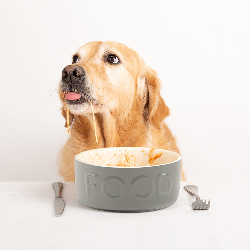 Scruffs Classic Food Bowl - 19cm-3