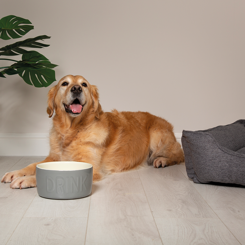Scruffs Classic Water Bowl - 20cm-2