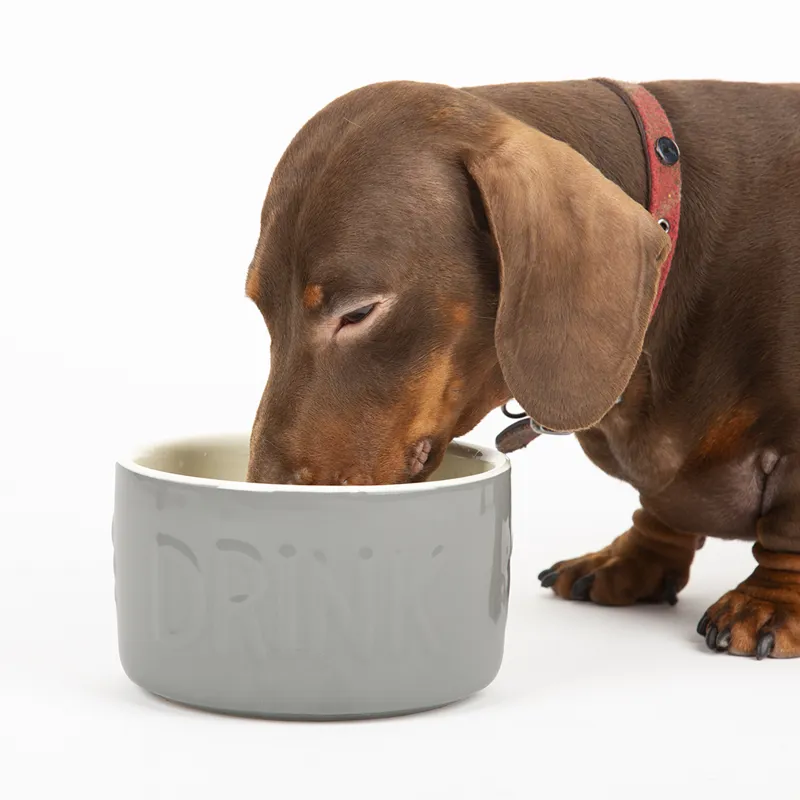 Scruffs Classic Water Bowl - 20cm-1