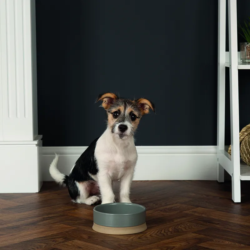 Scruffs Scandi Non Tip Bowl - 20cm -2