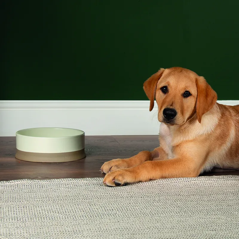 Scruffs Scandi Non Tip Bowl - 20cm -4