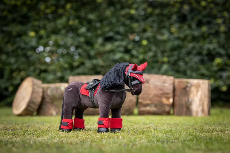 LeMieux Mini Pony - Freya-2