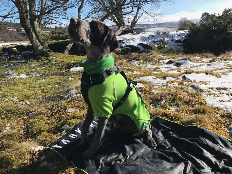 Bark Ride Lewis Adventure Harness Small