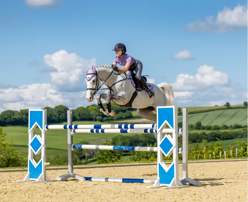 NR LeMieux Loire Classic Close Contact Square - Wisteria-1