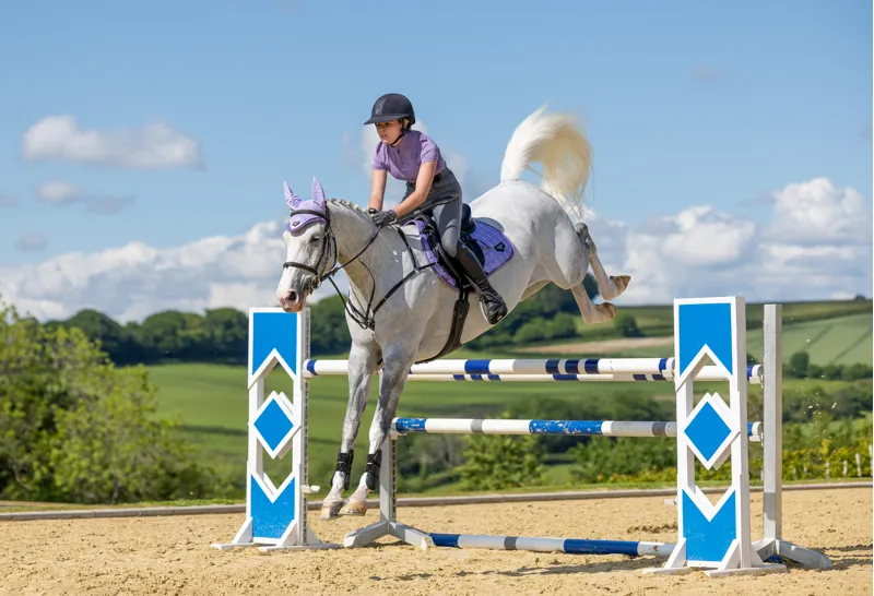 NR LeMieux Loire Classic Close Contact Square - Wisteria-2