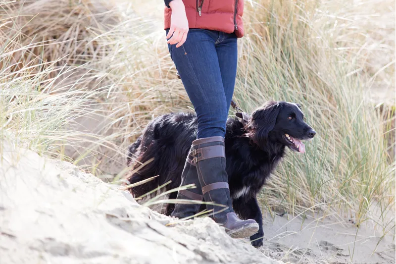 Dubarry Dunmanway Leather Dog Lead - Walnut-2