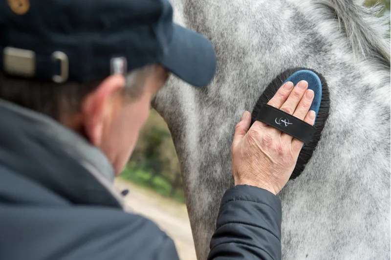 Alan Davies Signature Pack of Brushes-6