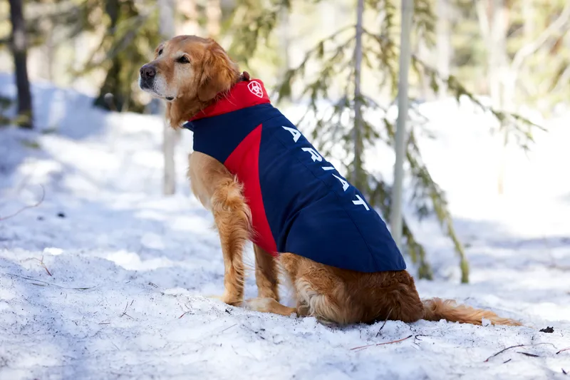 Ariat Team Shoftshell Dog Jacket - Team Navy-1