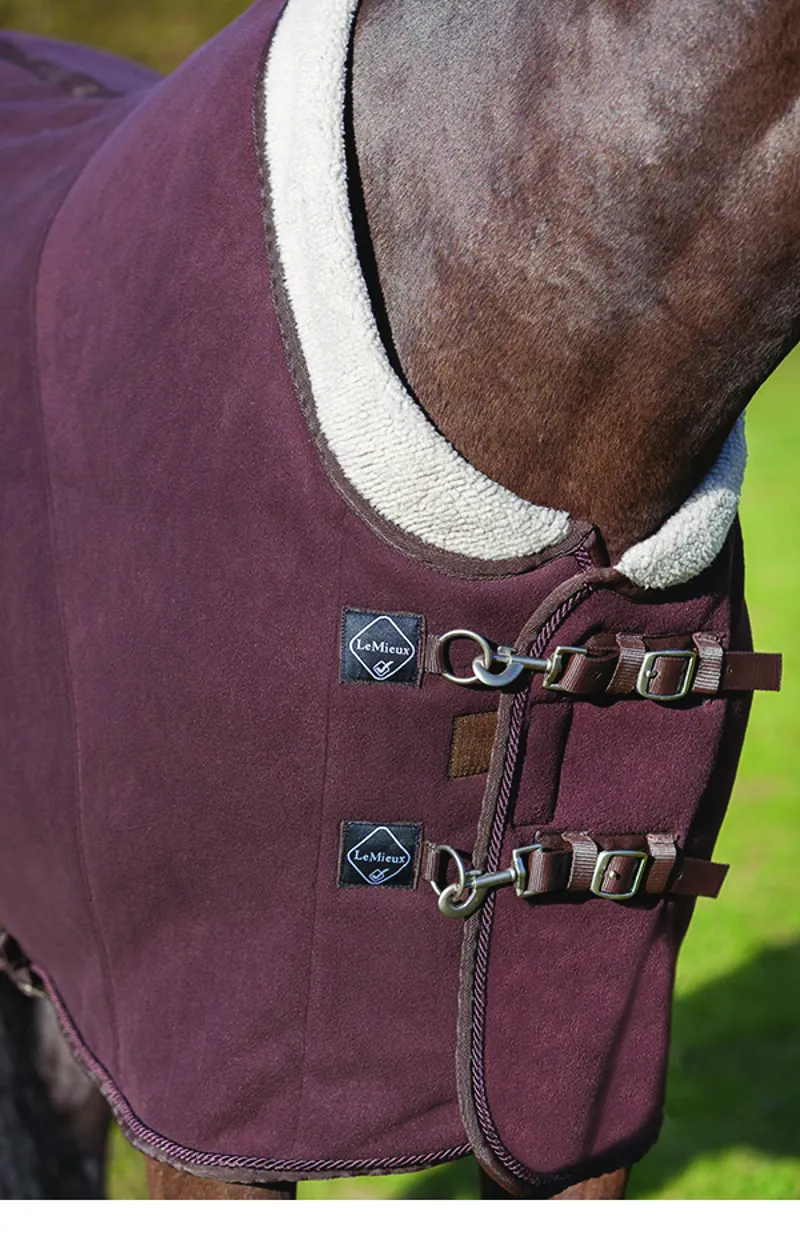 LeMieux Four Seasons Rug - Benetton Blue-4