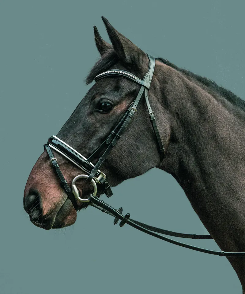 Mountain Horse Gaspari Bridle - Havana COB ONLY-1