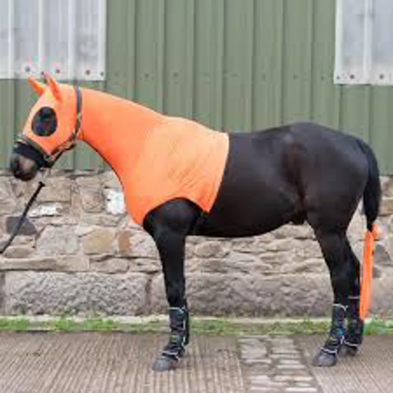 Horzehood Hood With Ears - Orange Jaffa