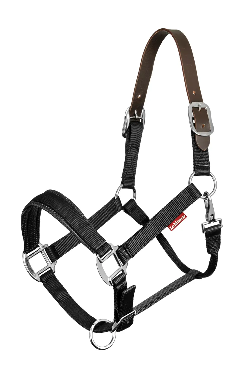 LeMieux Break Away Headcollar - Black/Brown 