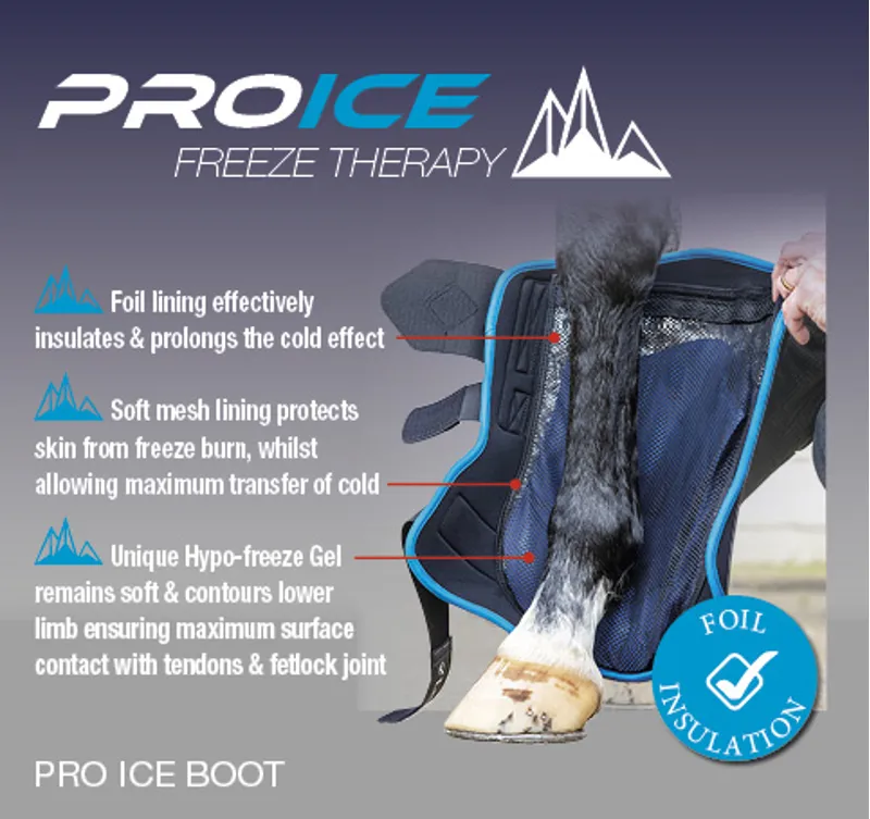 LeMieux Pro Ice Freeze Therapy Boot - Black-3