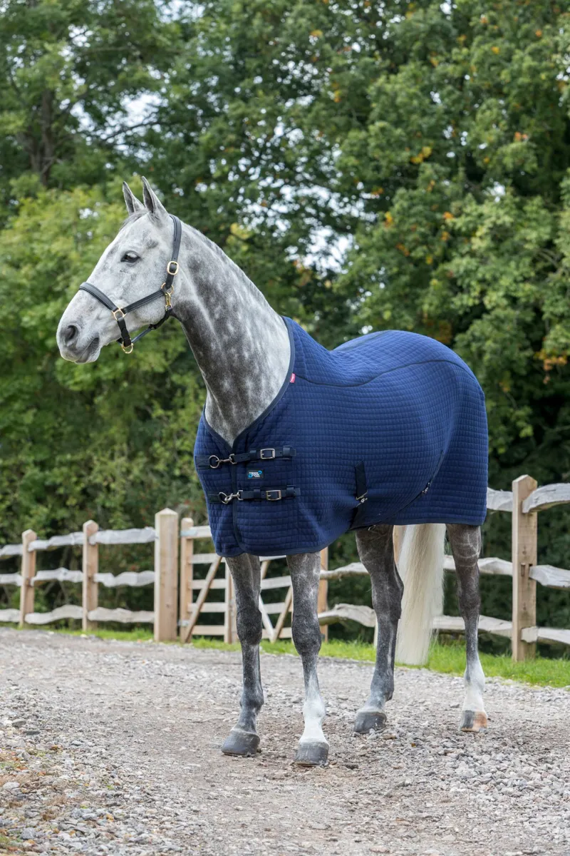 LeMieux Thermo-Cool Rug - Benetton Blue