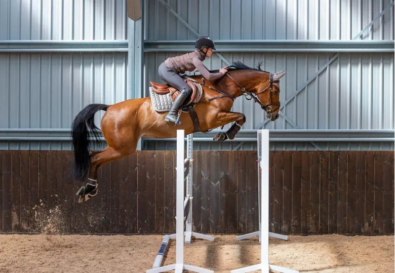 LeMieux Luxury Suede CC Square - Mink-3