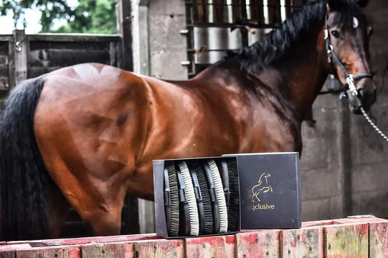 Eqclusive HAAS Brushes Pack - Dark Bay/Black