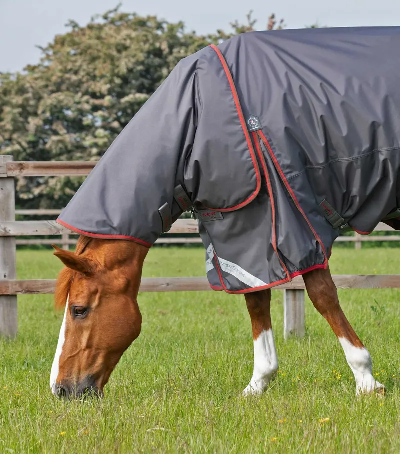 Premier Equine Buster 150g With Classic Neck - Grey-1
