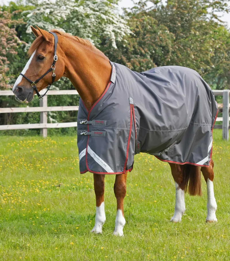 Premier Equine Buster 150g With Classic Neck - Grey