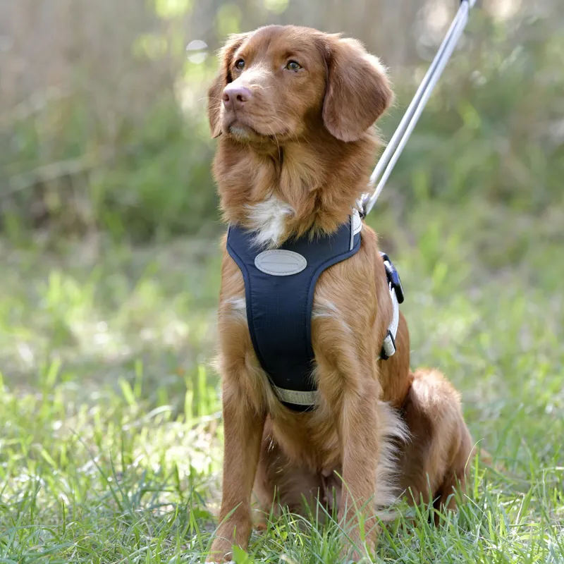 Weatherbeeta Explorer Dog Harness - Small
