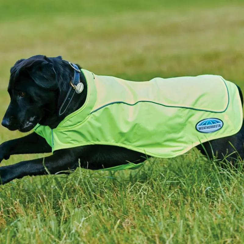 Weatherbeeta Reflective Exercise Dog Coat - Yellow-2