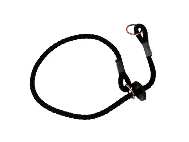 Sporting Saint Slip Collar - Black