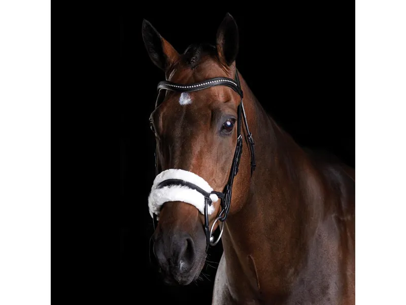 Collegiate ComFiTec Sheepskin Bridle - Black